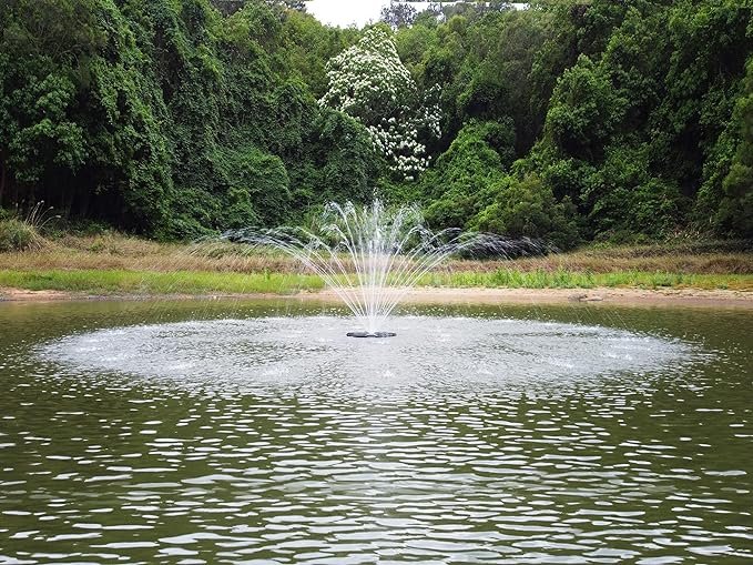 pond fountain