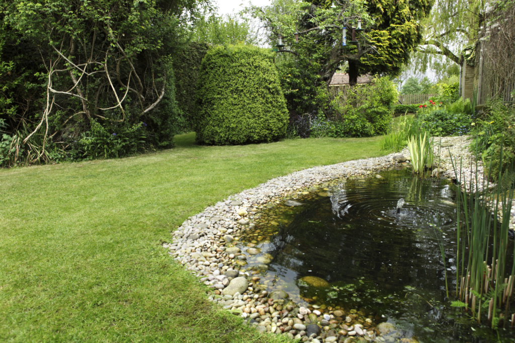 a backyard pond next to a grass yard