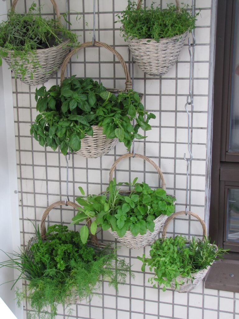 plants in baskets hanging on a wall