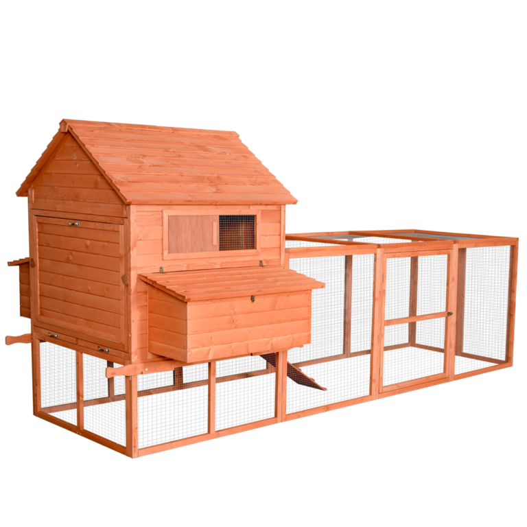 Chicken Coop