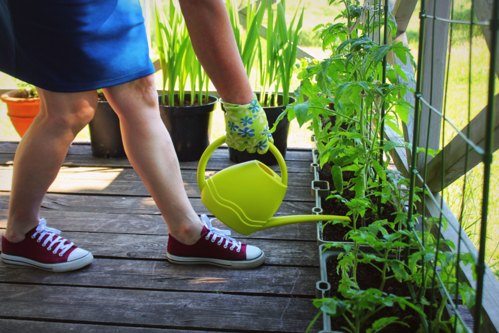 Patio with woman watering vegetable plants