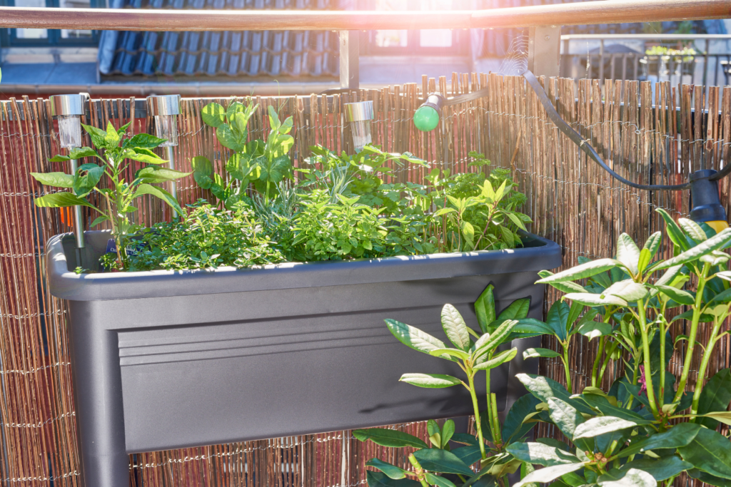 Apartment balcony patio vegetable garden with sun light shining on it