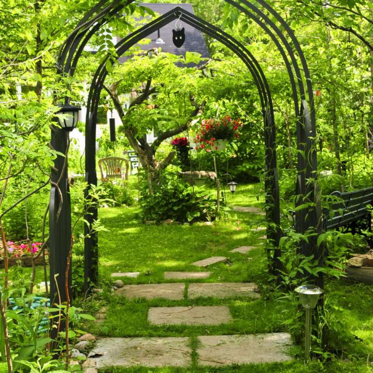 Natural cover arbor in a garden