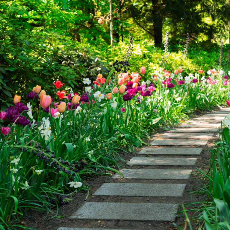 Garden pathway with flowers