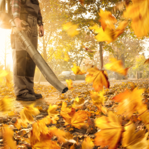 person using a leaf blower