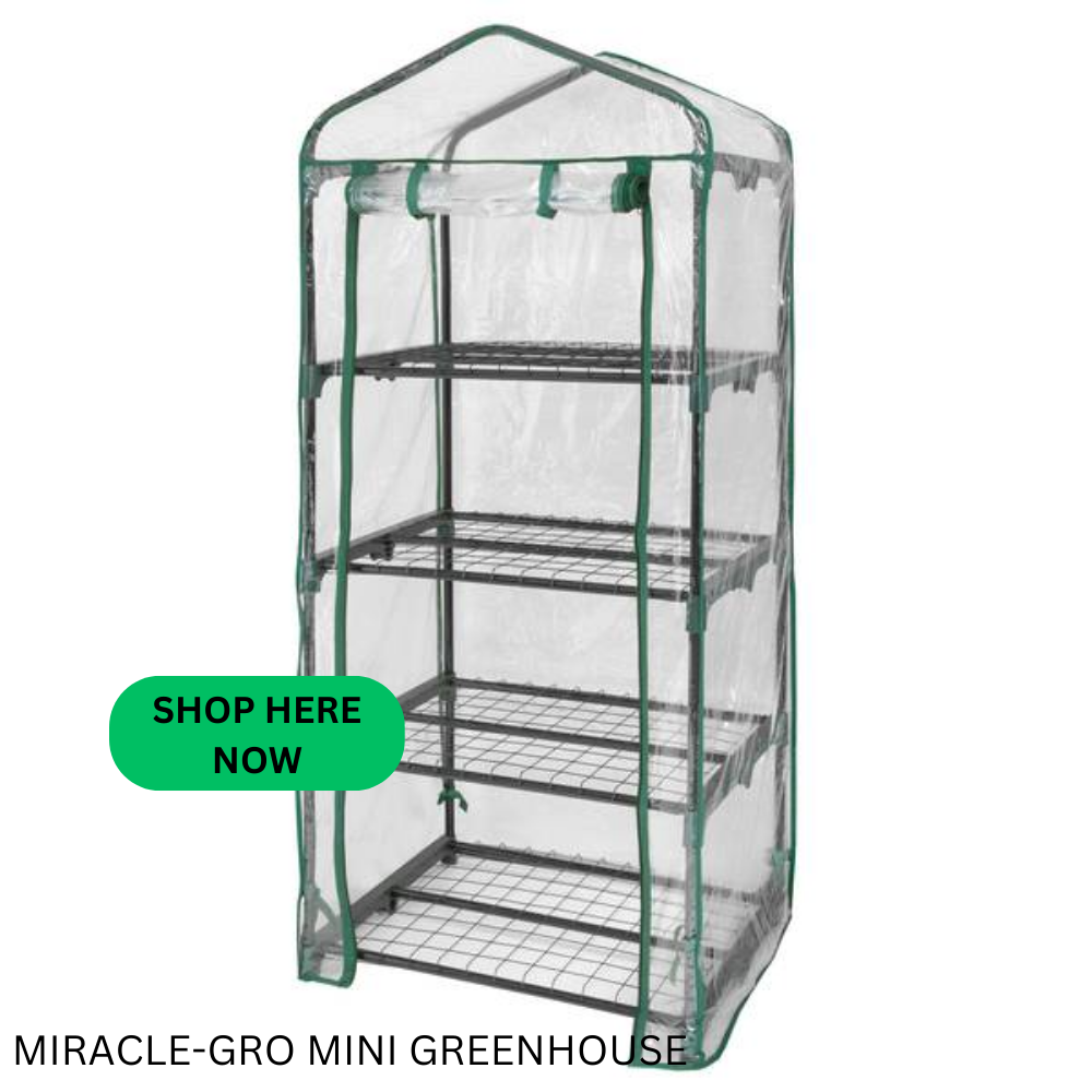 Mini greenhouse with clear covering