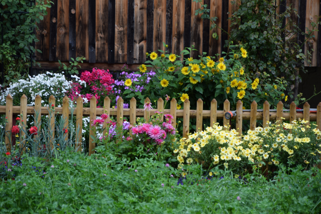 Garden with pollinating flowers and fenced in area