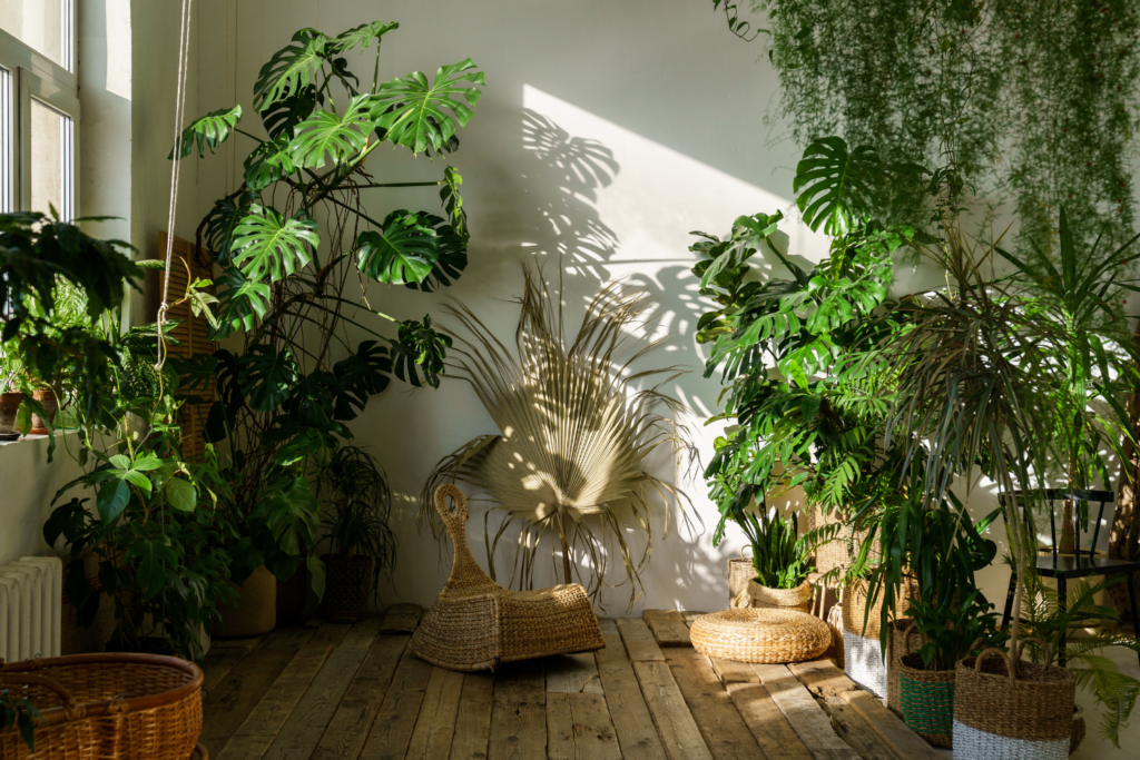 House plants greenery on wooden floor