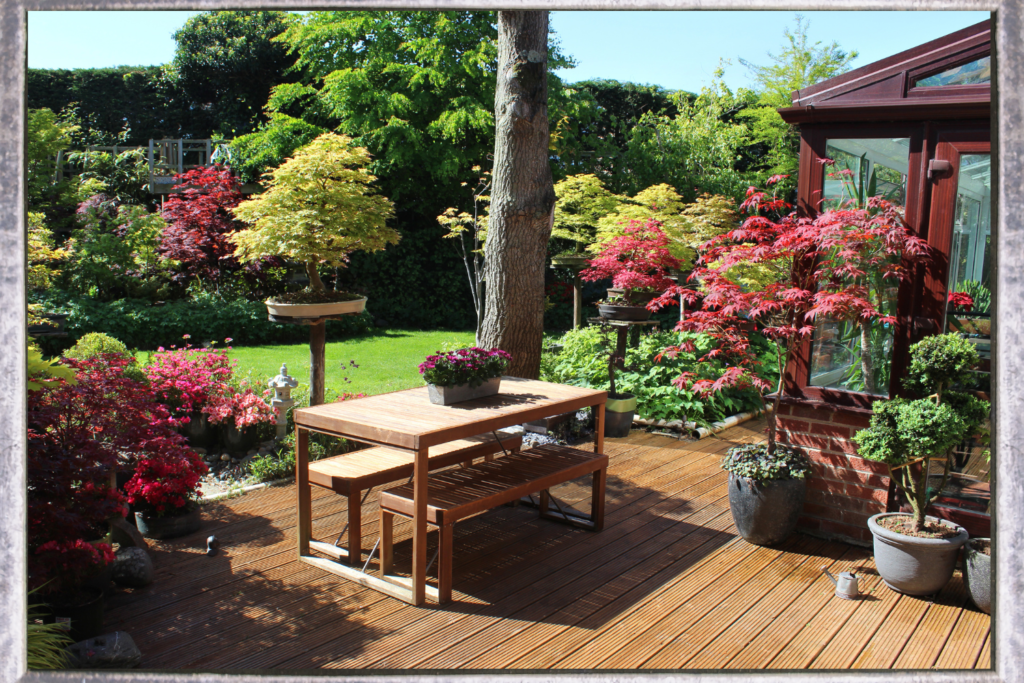 plants on a deck