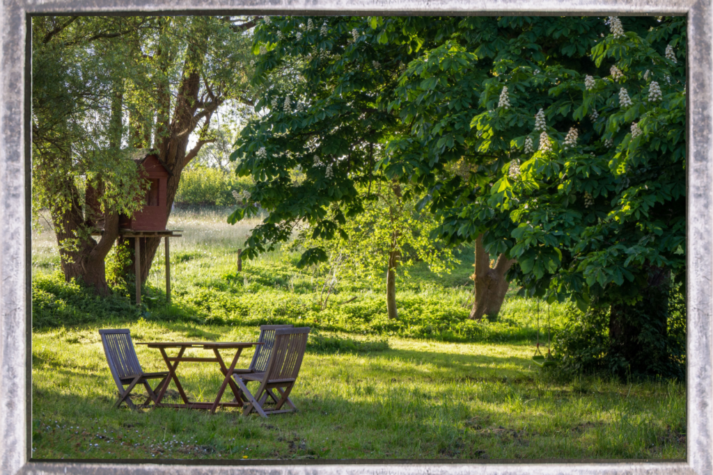 Backyard dining set with treehouse