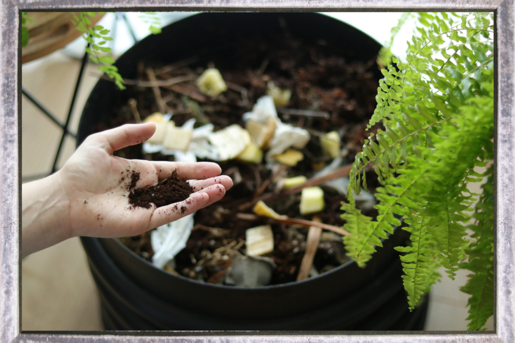 compost bin