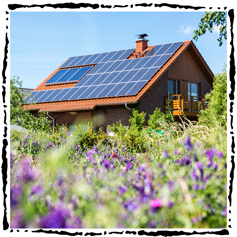 solar panels on roof