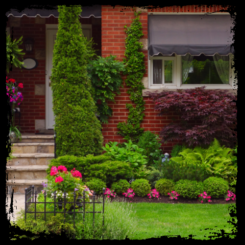 front door landscaping