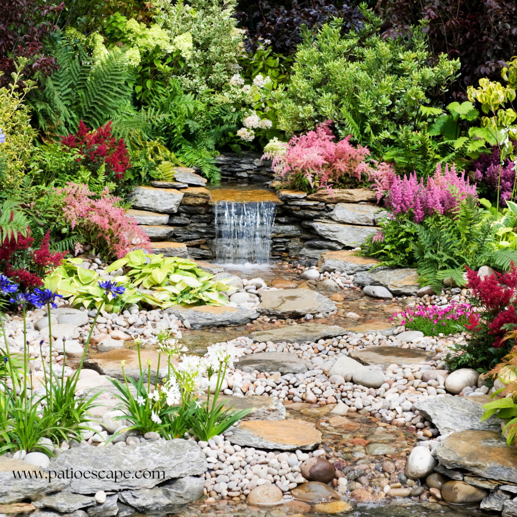 pond with flowers