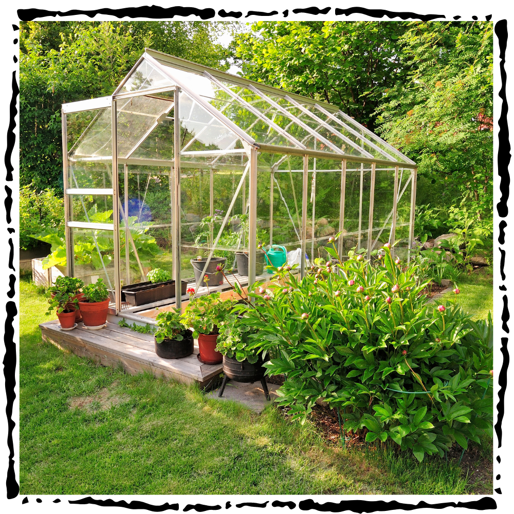 greenhouse