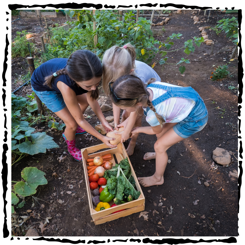 kids gardening